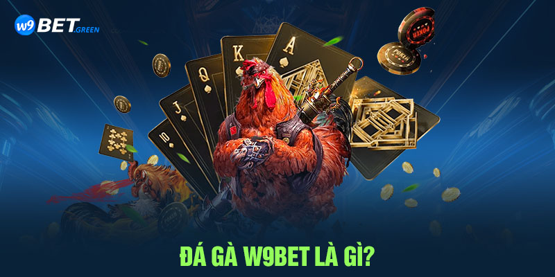 Đá gà W9BET là gì?