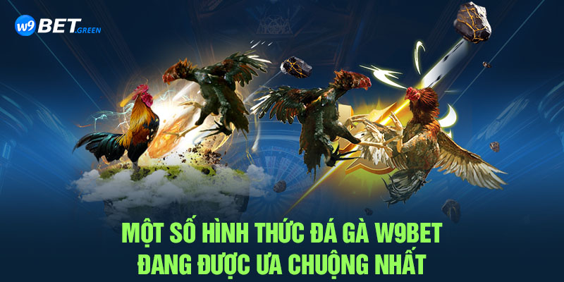 Một số hình thức Đá gà W9BET đang được ưa chuộng nhất